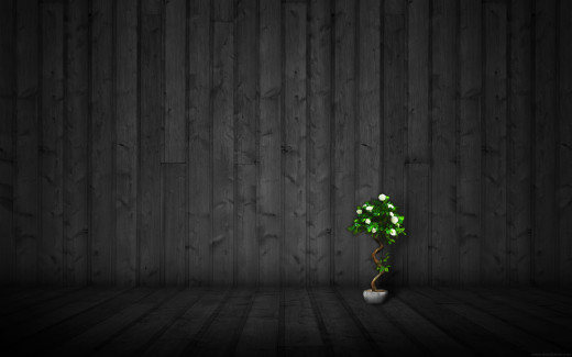 536519 (a): :2560x1600